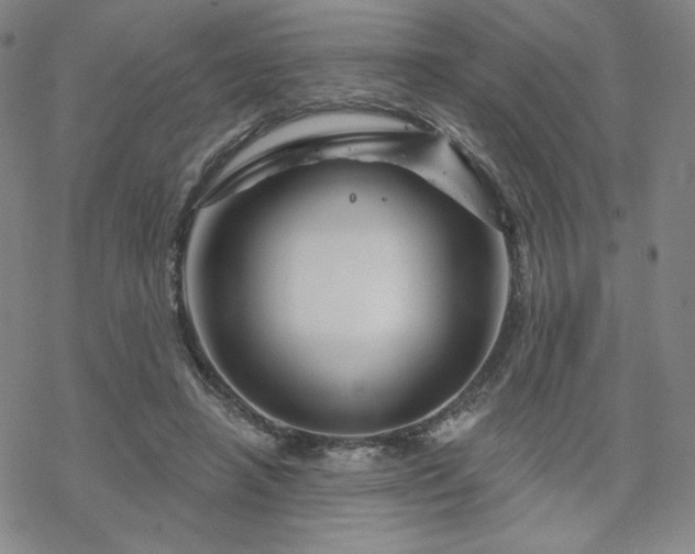 X0000070180450200606021036