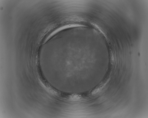 X0000070180451200606021036