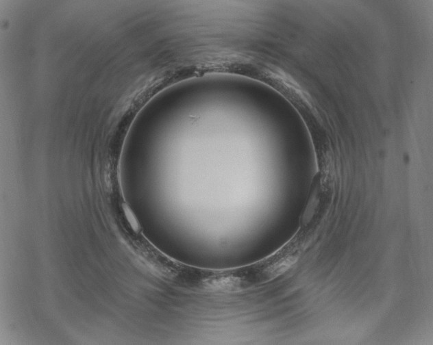 X0000070180452200606021036