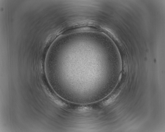 X0000070180453200606021036