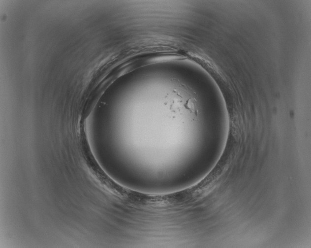 X0000070180454200606021036