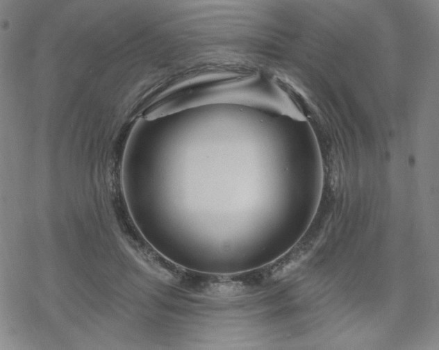 X0000070180455200606021036