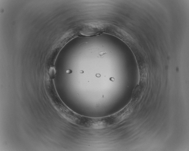 X0000070180456200606021036