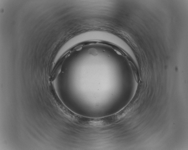 X0000070180457200606021036