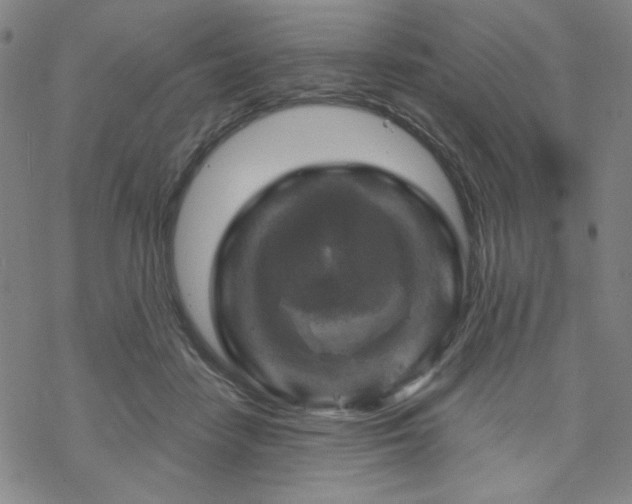 X0000070180458200606021037