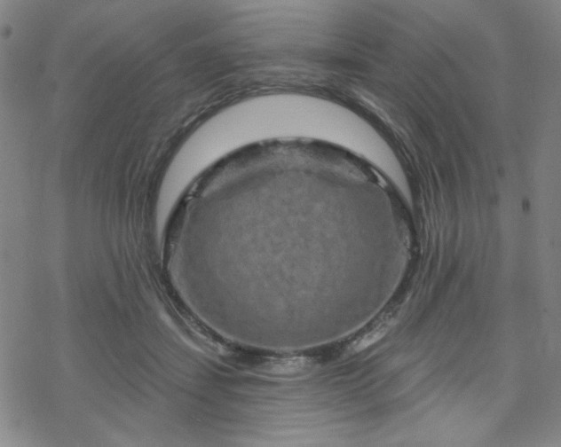 X0000070180459200606021037