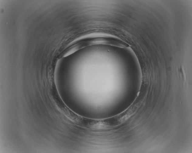 X0000070180460200606021037