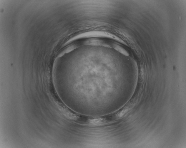 X0000070180461200606021037