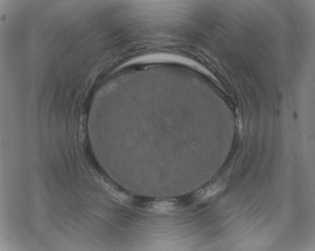 X0000070180462200606021037