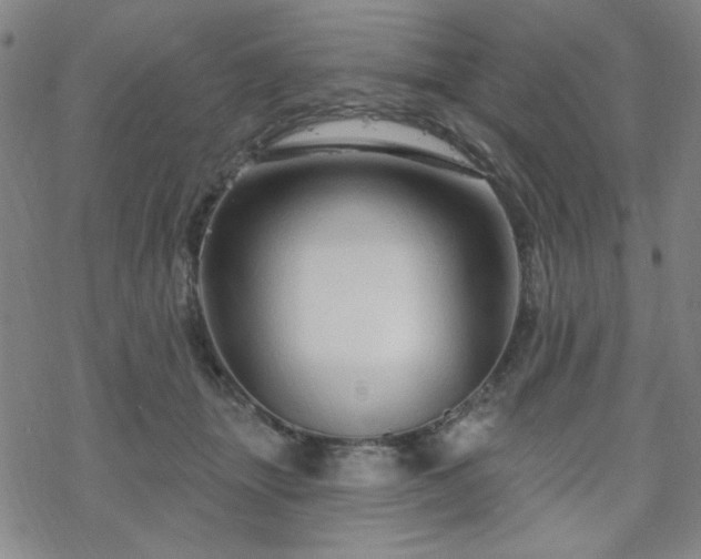 X0000070180463200606021037