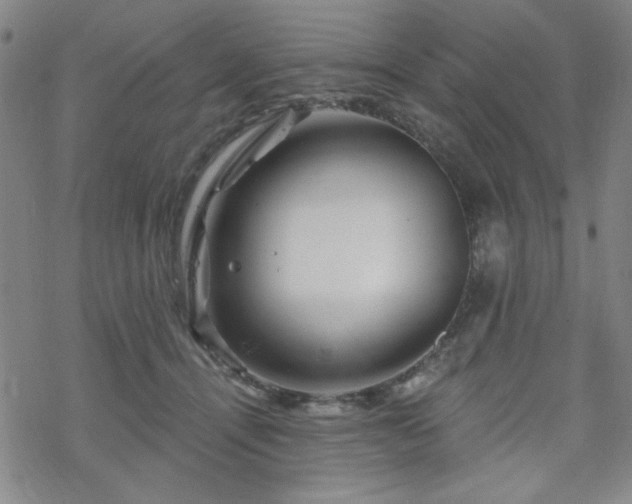 X0000070180464200606021037