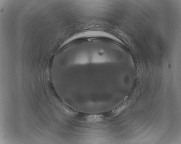 X0000070180465200606021037