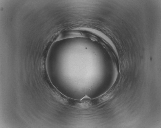 X0000070180466200606021037