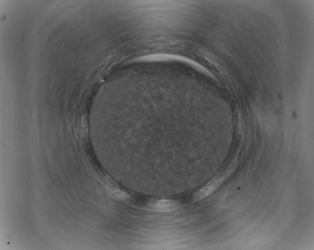 X0000070180467200606021037