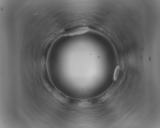 X0000070180468200606021037