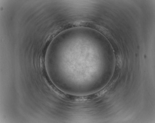 X0000070180470200606021037