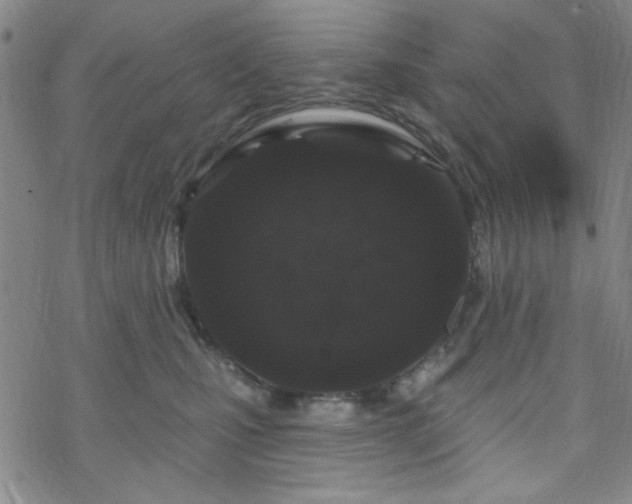 X0000070180471200606021037