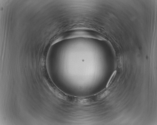 X0000070180472200606021037