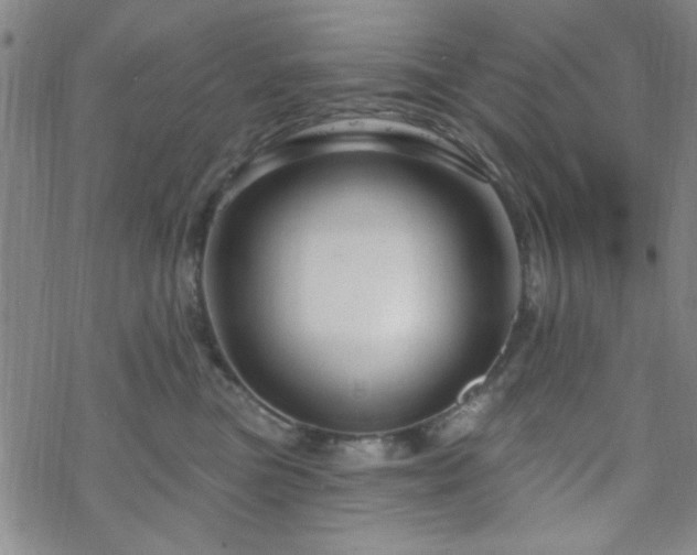 X0000070180473200606021037