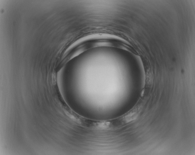 X0000070180474200606021037