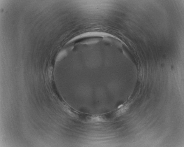 X0000070180475200606021037