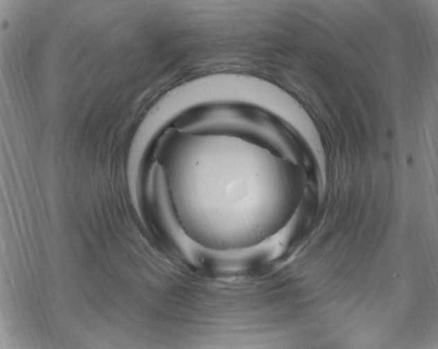 X0000070180478200606021037