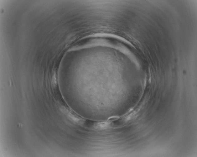 X0000070180479200606021037