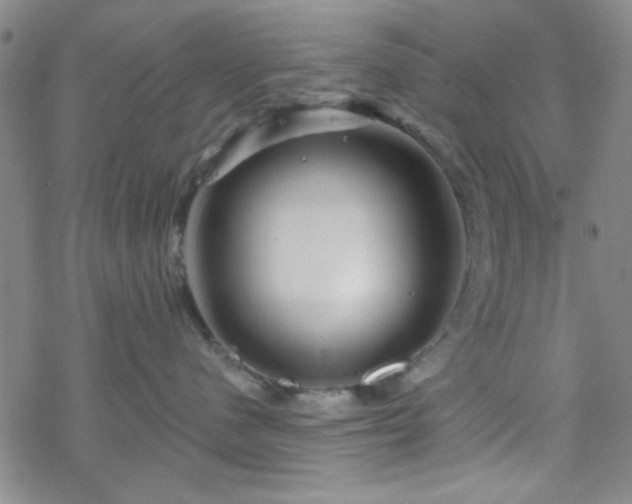 X0000070180480200606021037