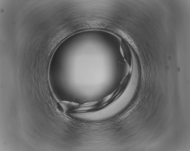 X0000070180481200606021036