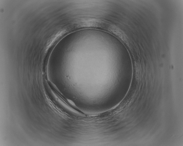 X0000070180482200606021036