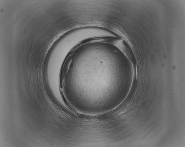 X0000070180483200606021036