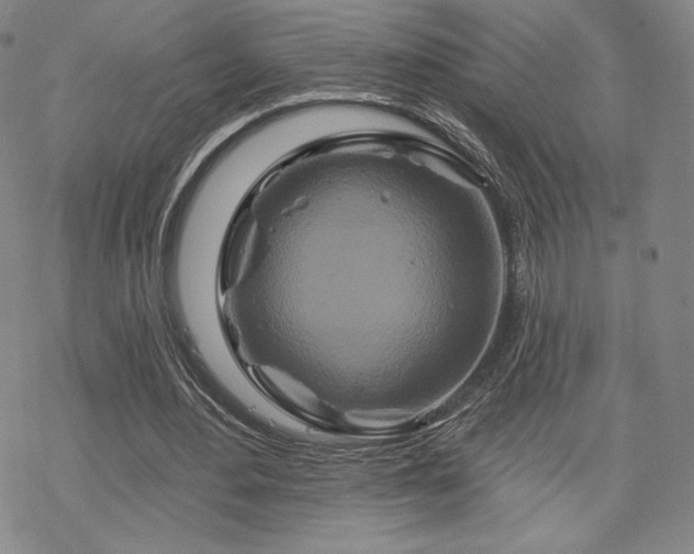 X0000070180484200606021036