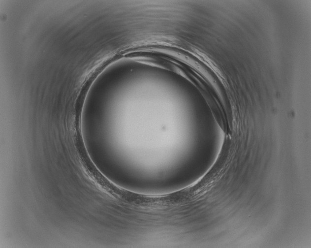 X0000070180485200606021036