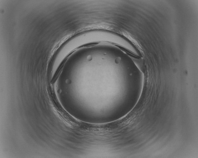 X0000070180486200606021036