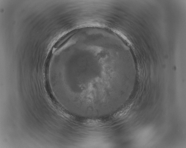 X0000070180487200606021036