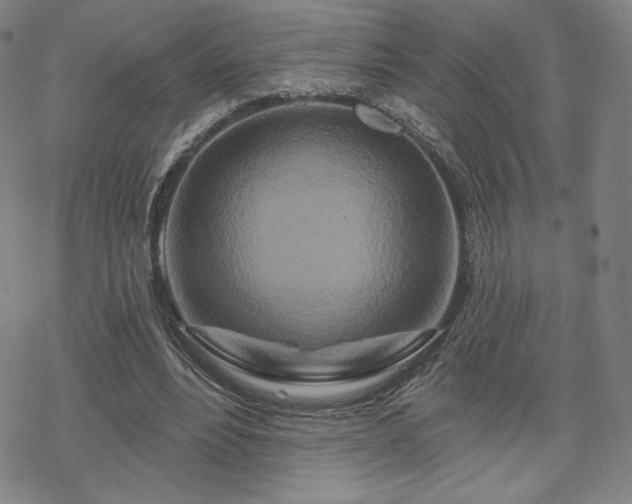 X0000070180488200606021036