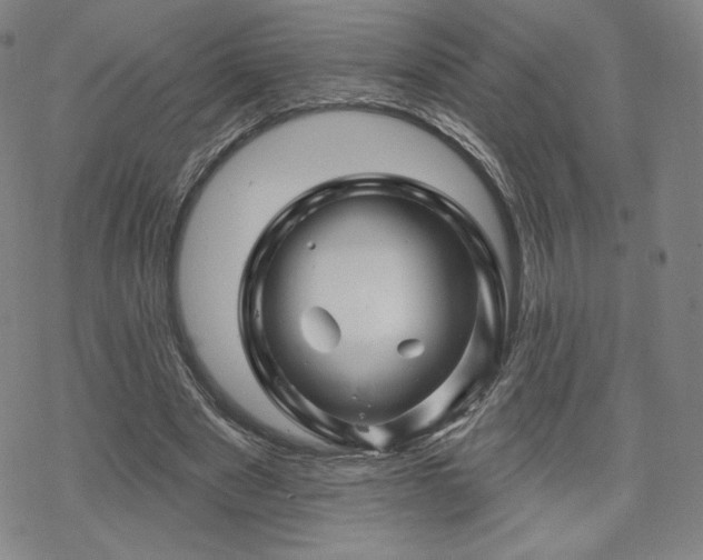 X0000070180489200606021036