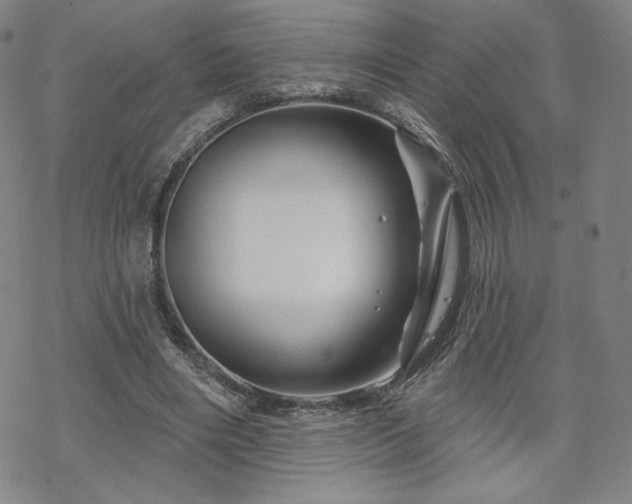 X0000070180490200606021036