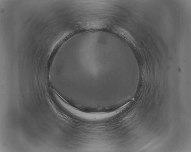 X0000070180491200606021036