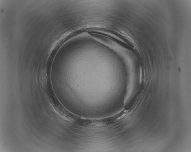 X0000070180492200606021036