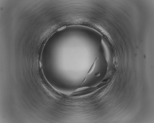 X0000070180493200606021036