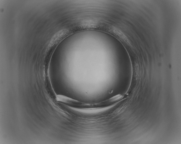 X0000070180494200606021036