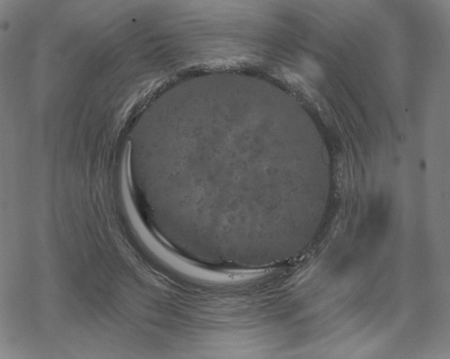 X0000070180495200606021036