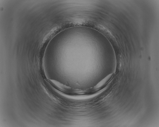 X0000070180496200606021036