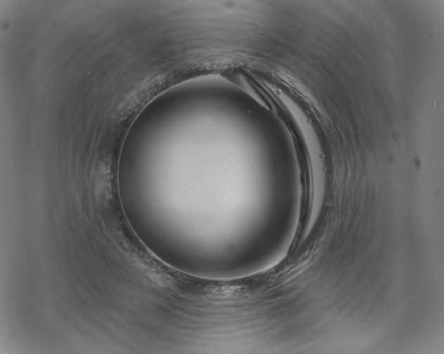 X0000070180497200606021036