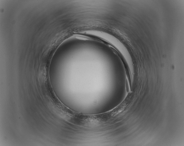 X0000070180498200606021036