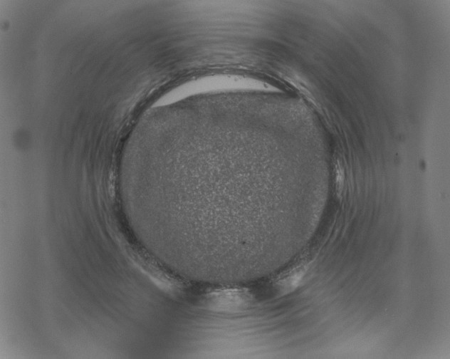 X0000070180499200606021036