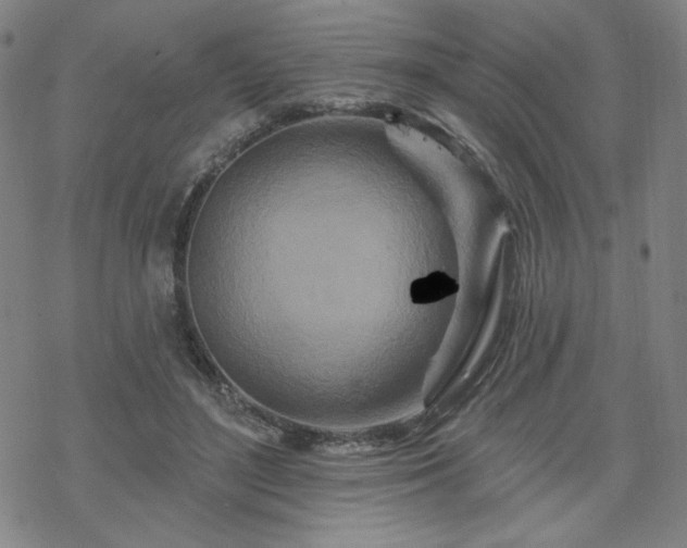 X0000070180500200606021036