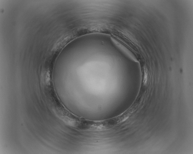 X0000070180502200606021036