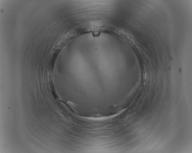 X0000070180503200606021036